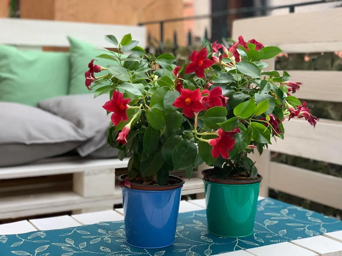 Appartement Appartamento Damiana Venise Italie